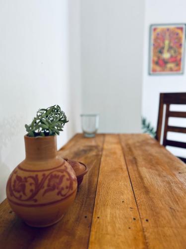 a vase with a plant sitting on a wooden table at One Bhakthi in Ahangama
