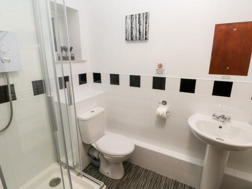 a bathroom with a toilet and a sink and a shower at Barn 1 in Swansea