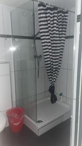 a shower with a curtain in a bathroom at GZ Hostel Bonn in Bonn