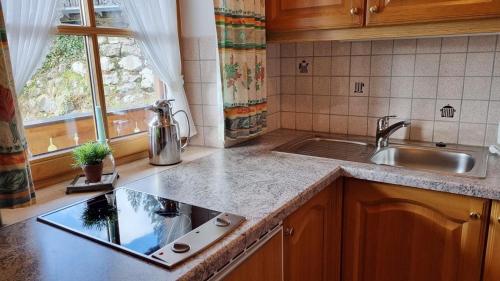 a kitchen with a sink and a counter top at Julia -702- in Mittenwald
