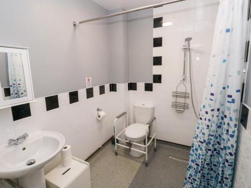 a bathroom with a sink and a toilet and a shower at Barn 3 in Swansea