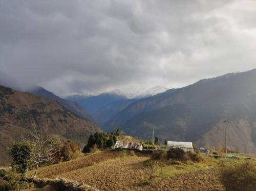 Dayara Bugyal villas – Photos 5