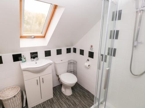 een badkamer met een toilet, een wastafel en een douche bij Barn 2 in Swansea