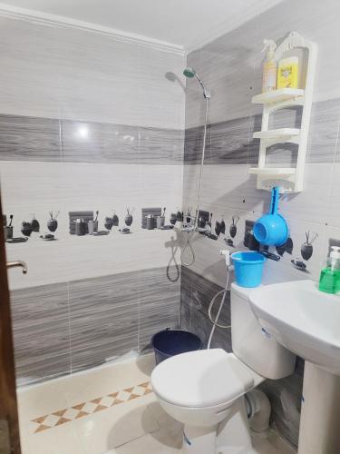 y baño con aseo, lavabo y ducha. en Appartement de luxe Nour, en Fez