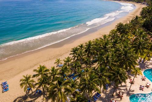 an aerial view of a beach with palm trees and the ocean at Viva Tangerine by Wyndham, A Trademark All Inclusive in Cabarete