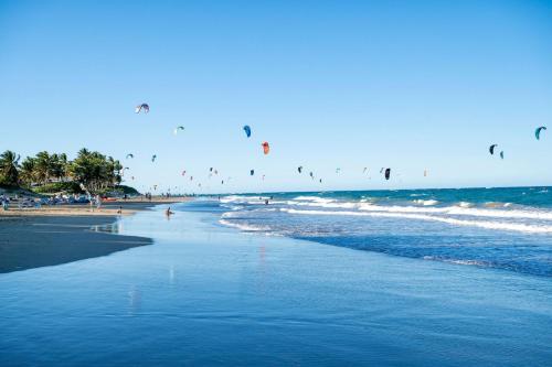 a group of people flying kites on the beach at Viva Tangerine by Wyndham, A Trademark All Inclusive in Cabarete