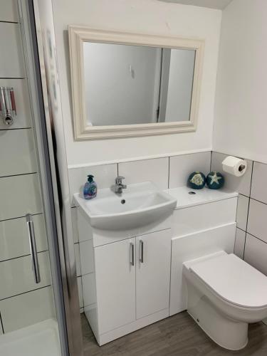 ein Badezimmer mit einem Waschbecken, einem WC und einem Spiegel in der Unterkunft PLATFORM Avenues Apartment 2 in Hull