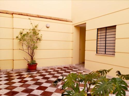 APARTAMENTO SAN LUIS. Plaza de Parking Gratis!!!