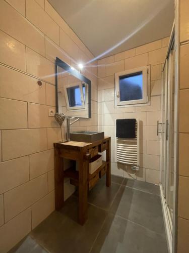 un baño con lavabo y espejo en Bel Appartement dans résidence cheminée /Jardin, en Luz-Saint-Sauveur