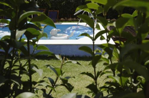 Gallery image of Kalypso Studios & Apartments in Karavomylos