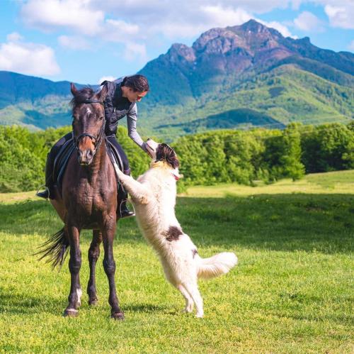 a man on a horse playing with a dog at Къща за гости "Край Реките" in Apriltsi