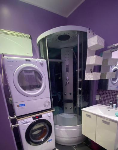 a bathroom with a washing machine and a sink at Apartment Alex in Rijeka