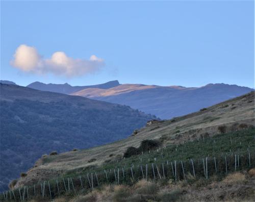 a fence on a hill with mountains in the background at Hotel Rural Alfajía de Antonio in Capileira