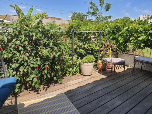 a deck with a bunch of plants and flowers at Chez Hélène in Bordeaux