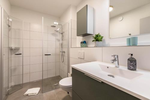 a bathroom with a sink and a toilet and a shower at Seegaard Wohnung 3 in Husby