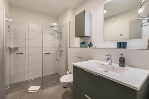een badkamer met een wastafel, een douche en een toilet bij Willewatt Wohnung 1 in Husby