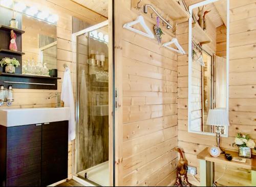 a bathroom with a shower and a sink at Duck Lodge B&B with Hot Tub in Pyecombe