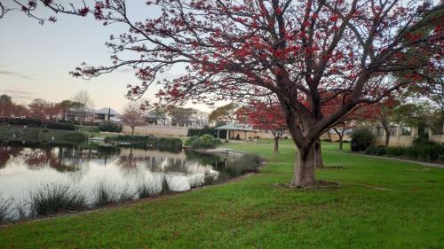 สวนหย่อมนอก Lovely large studio in canning vale