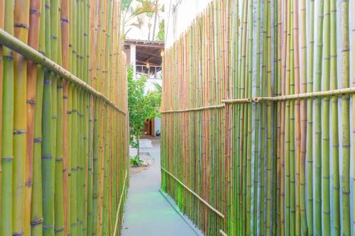 a bamboo fence with a sidewalk in front of it at Makeba Hostel in Pipa