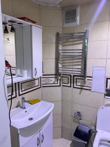 a bathroom with a white sink and a shower at Sultan Terrace Hostel in Istanbul