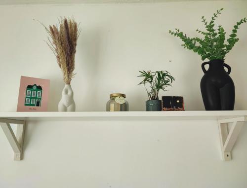 a white shelf with vases and plants on it at Cosy House in Birmingham Excellent connections to city centre in Birmingham