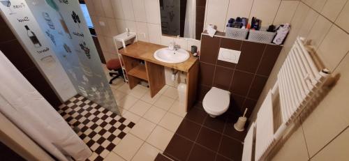 Baño pequeño con lavabo y aseo en Prenočišče pri Sodarju, en Beltinci