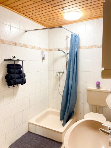 a bathroom with a shower and a toilet and a sink at Mc Home Pfungstadt in Pfungstadt
