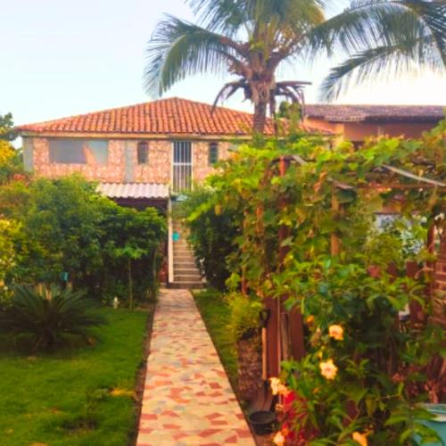 a house with a palm tree and a walkway at Lua de Aquarius Boutique Hostel in Tamoios