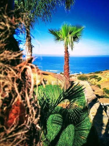 a palm tree with the ocean in the background at Hill Valley Asilah - Luxury Living & Boutique Hotel in Asilah