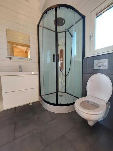 een badkamer met een toilet en een glazen douche bij Vakantiehuisje vlakbij Leeuwarden, Swichumer Pleats in Swichum