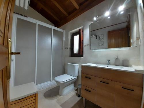 a bathroom with a toilet and a sink and a shower at Casa del Horno in Potes
