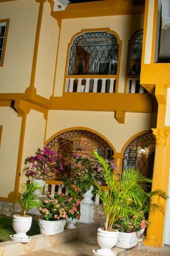 a group of potted plants sitting in front of a building at Windbreak Villa in Buff Bay