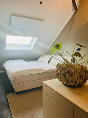 ein Schlafzimmer mit einem Bett und einer Pflanze auf einer Theke in der Unterkunft Het huis van Hermens in Meerssen