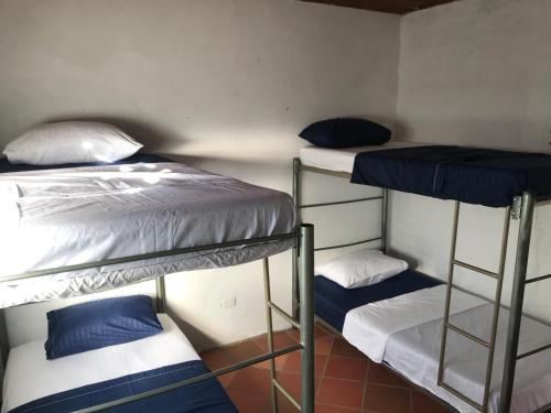 grupa łóżek piętrowych w pokoju w obiekcie RiverMan Hostel, Tourism and Friends w mieście Jagua
