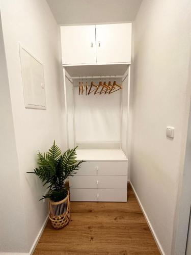 a walk in closet with a potted plant in it at StayRoom Apartments I "Woody2" neben Donaulände in Linz