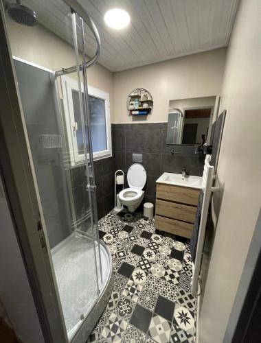 une salle de bain avec une douche, des toilettes et un lavabo dans l'établissement Petite maison au calme, dans une impasse, à LʼÉpine