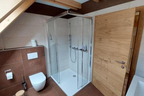 a shower stall in a bathroom with a toilet at Siedls Enzian in Hirschegg Rein