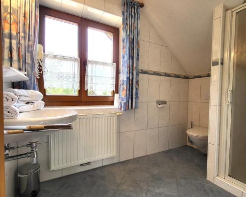 a bathroom with a sink and a toilet at Appartements Höller in Sankt Lorenzen ob Murau