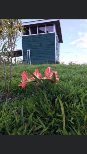 San Isidro View – Photos 4