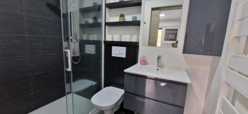 ein Bad mit einer Dusche, einem WC und einem Waschbecken in der Unterkunft au petit canal de Colmar 3 in Kunheim