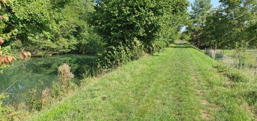 een grasveld naast een rivier met bomen bij au petit canal de Colmar 3 in Kunheim