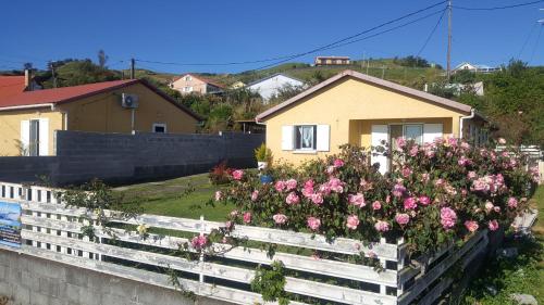 un montón de rosas rosas en una valla de madera en Case Vi d' o', en Le Tampon