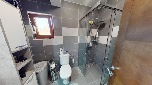 a small bathroom with a toilet and a shower at Sunny Villa in Kavac in Tivat