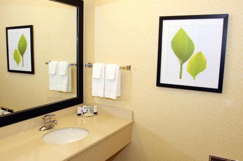 W łazience znajduje się umywalka i lustro. w obiekcie Fairfield Inn and Suites by Marriott Marion w mieście Marion