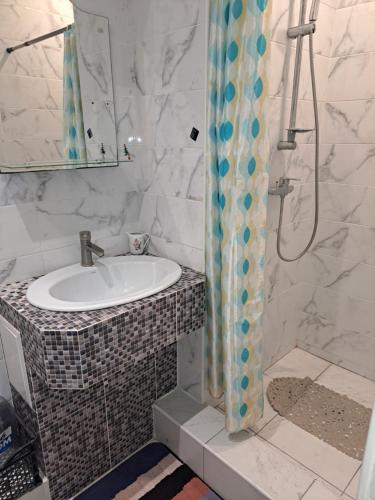 a bathroom with a sink and a shower curtain at Apartament in Chişinău