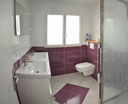 Le Rouge Gorge à 12 minutes d'Eurexpo في جينا: حمام مع حوض ومرحاض