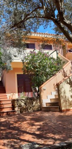 a house with stairs and a tree in front of it at Il Verde Ulivo in Funtana Meiga