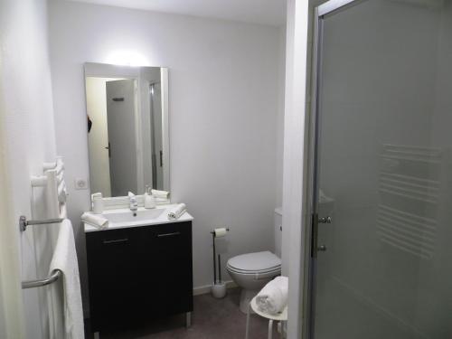 une salle de bain avec toilettes, lavabo et douche dans l'établissement Facile, Lumineux, Parking, Metro, proche du Centre, à Toulouse