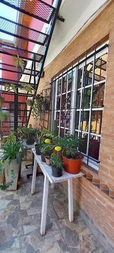 Domus Exclusiva – Photos 2