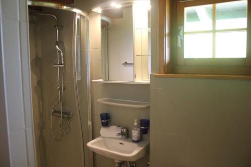 ein kleines Bad mit einem Waschbecken und einer Dusche in der Unterkunft Le Loup, grand chalet coup de cœur in Moleson